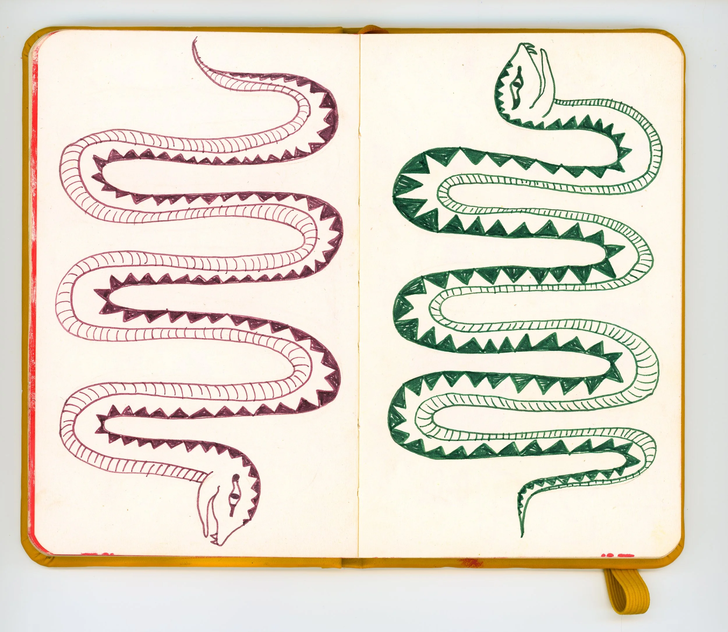 snakesketchbooksmaller.jpg