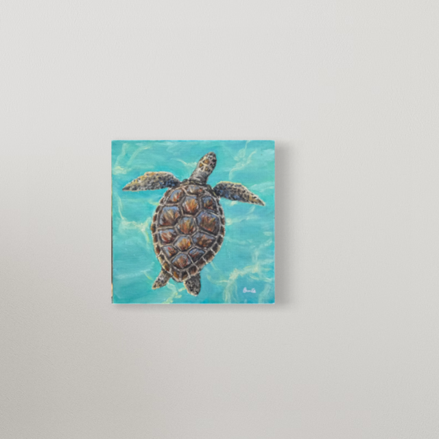 Sea Turtle 5" x 5"