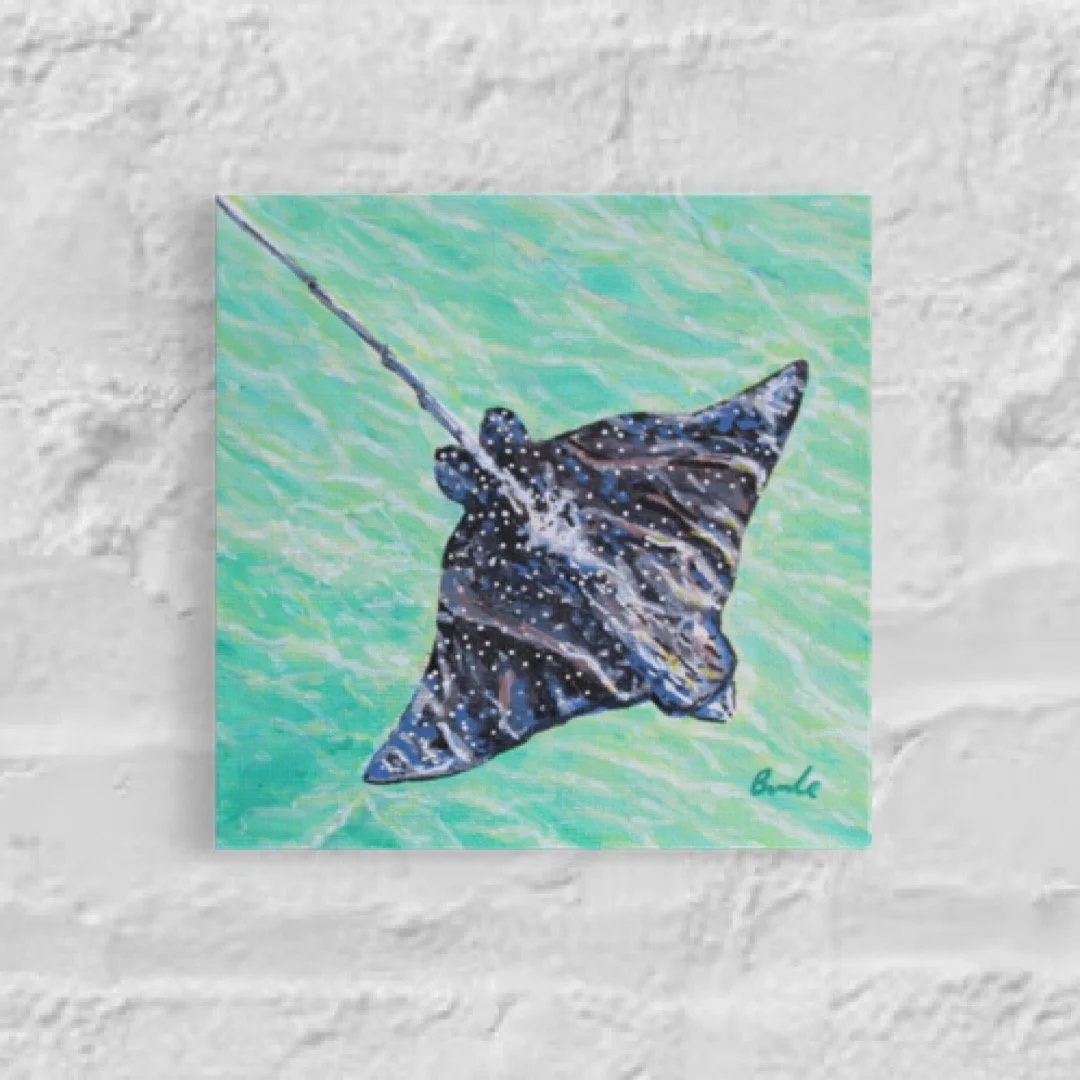 Manta Ray (acrylic) 5" x 5"