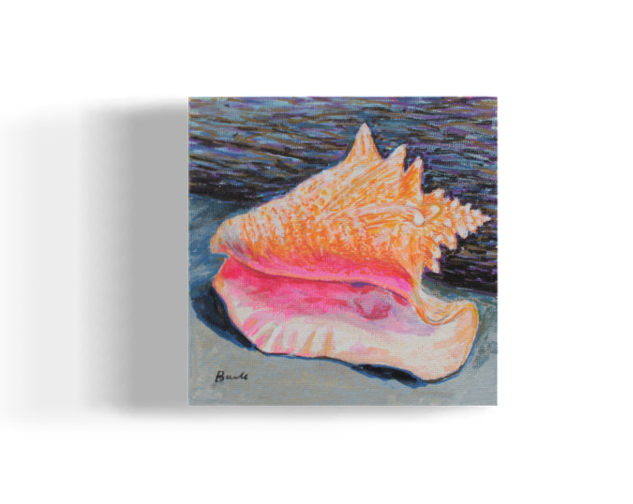Conch Shell 5" x 5"
