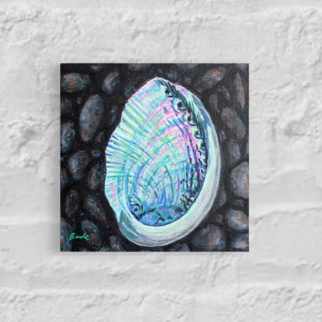 Abalone 5" x 5"