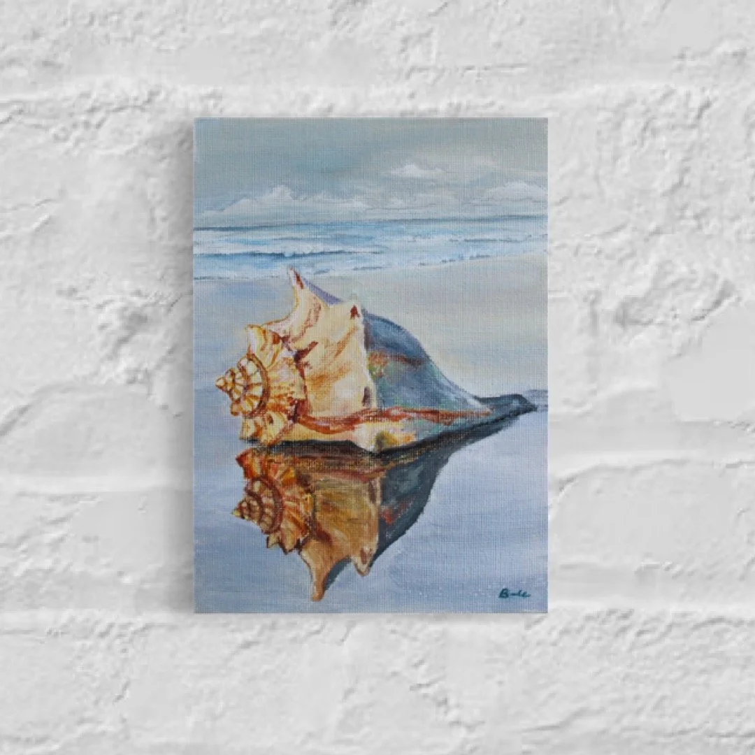 Shell Reflections 5" x 7"