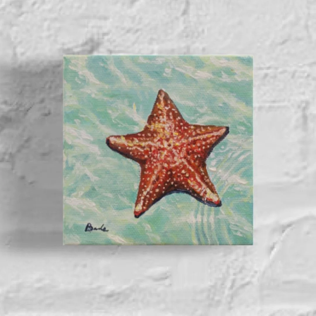 Sea Star Reflections 4" x 4"