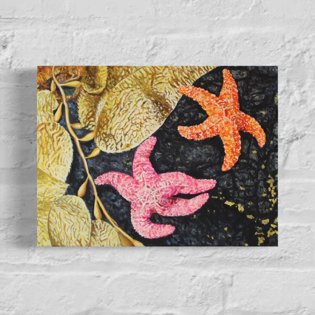 Kelp and Starfish 12" x 16"