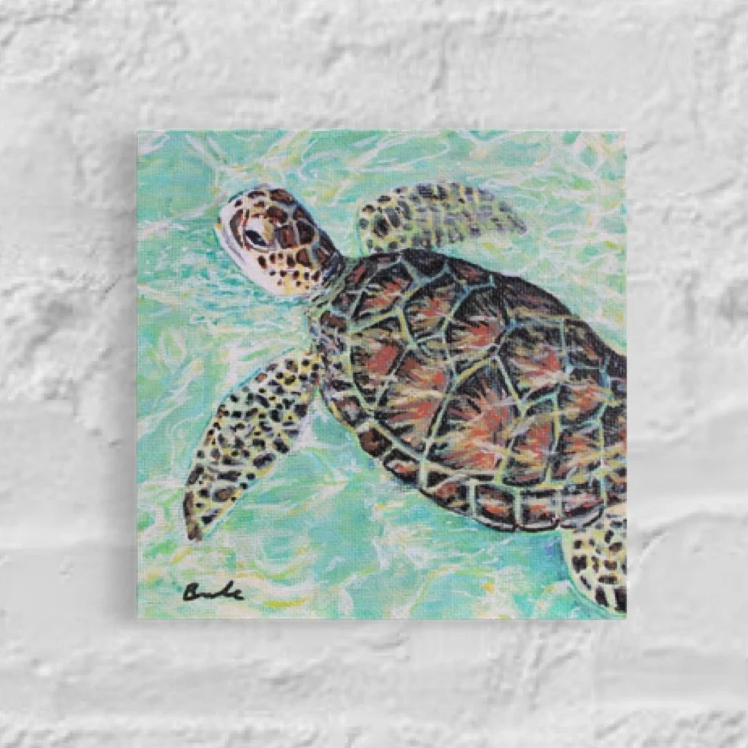 Sea Turtle 5" x 5"