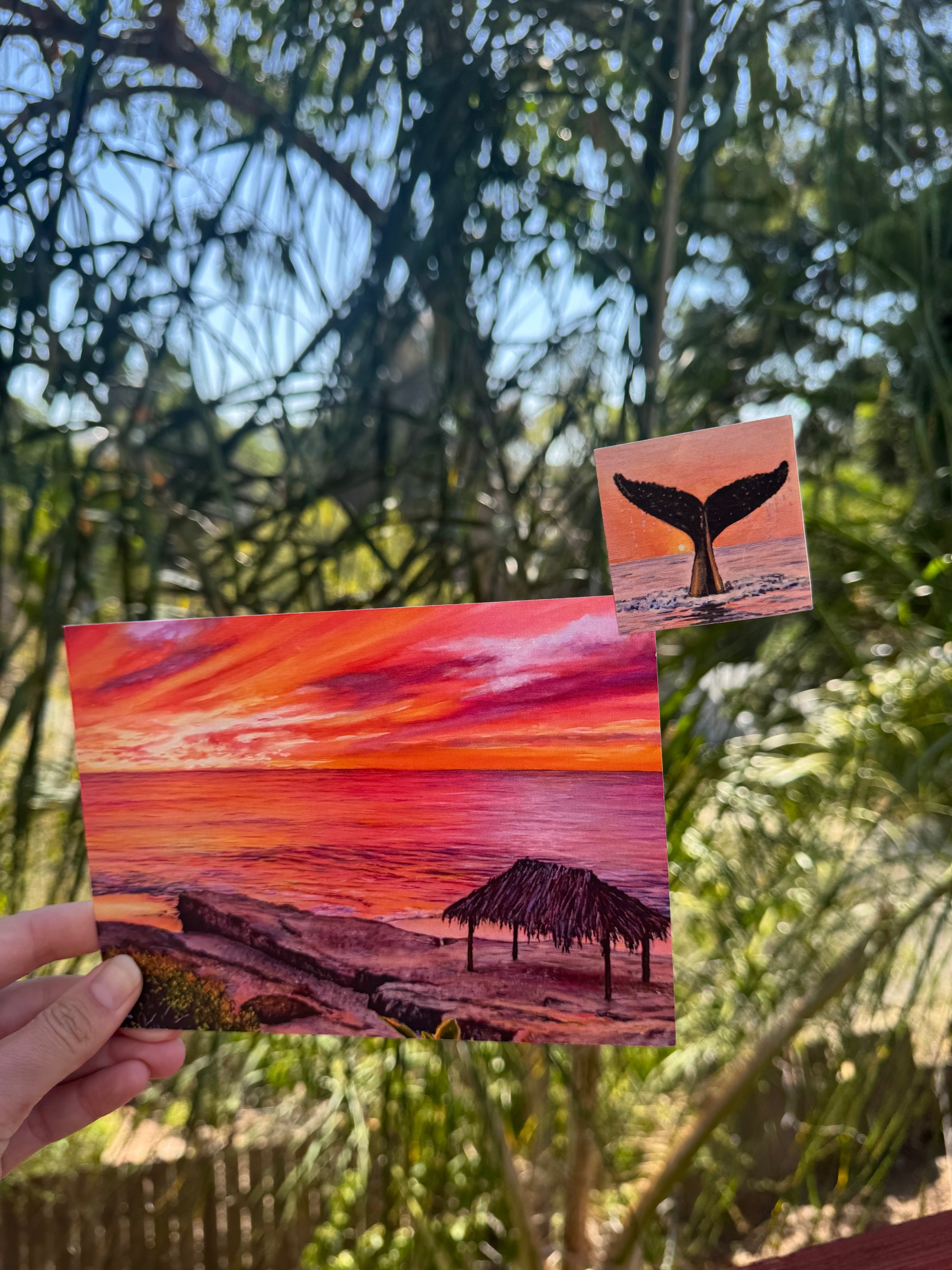 Windnsea Sunset Print 5" x 7"