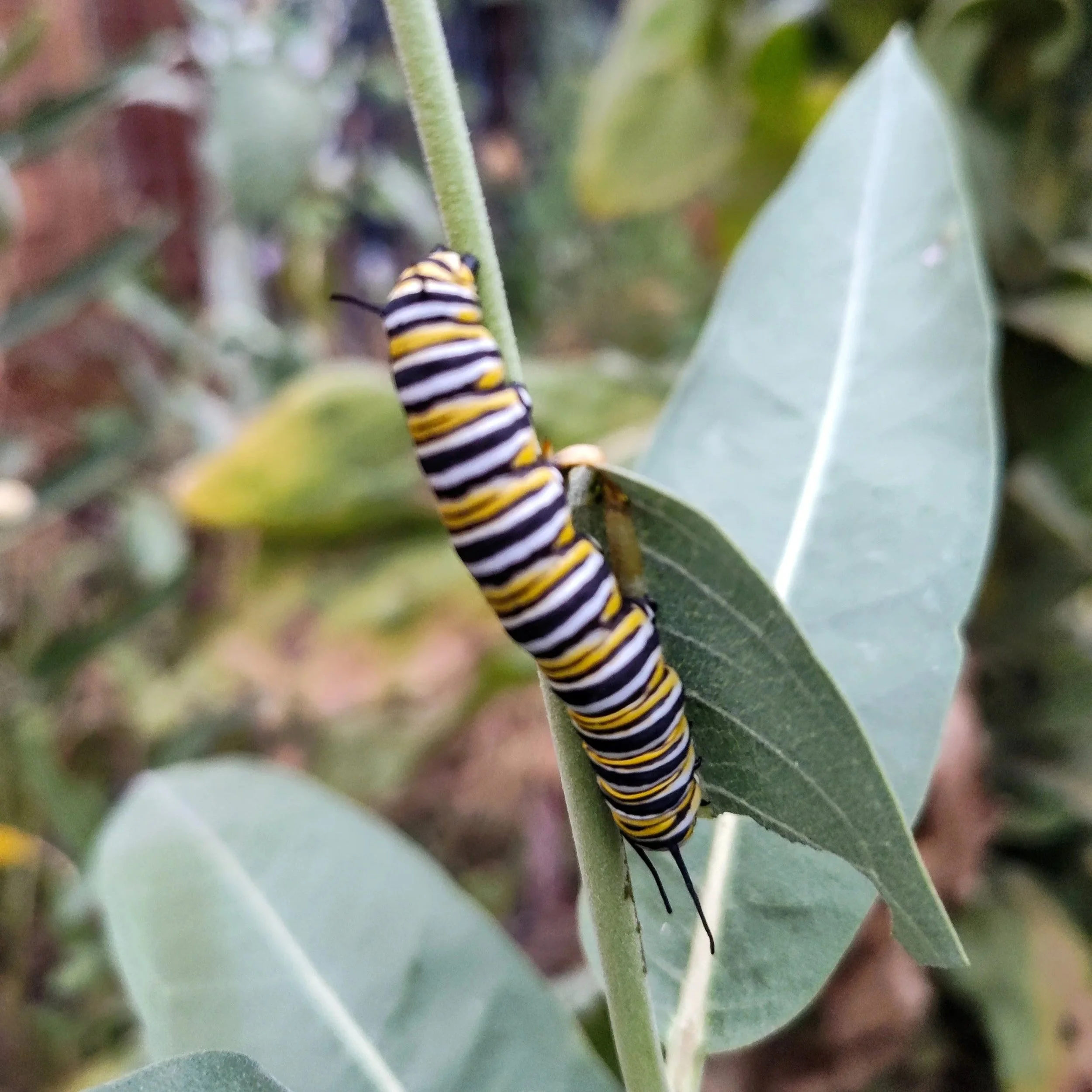 Closing Out the Growing Season