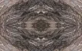 jersey dark full.webp