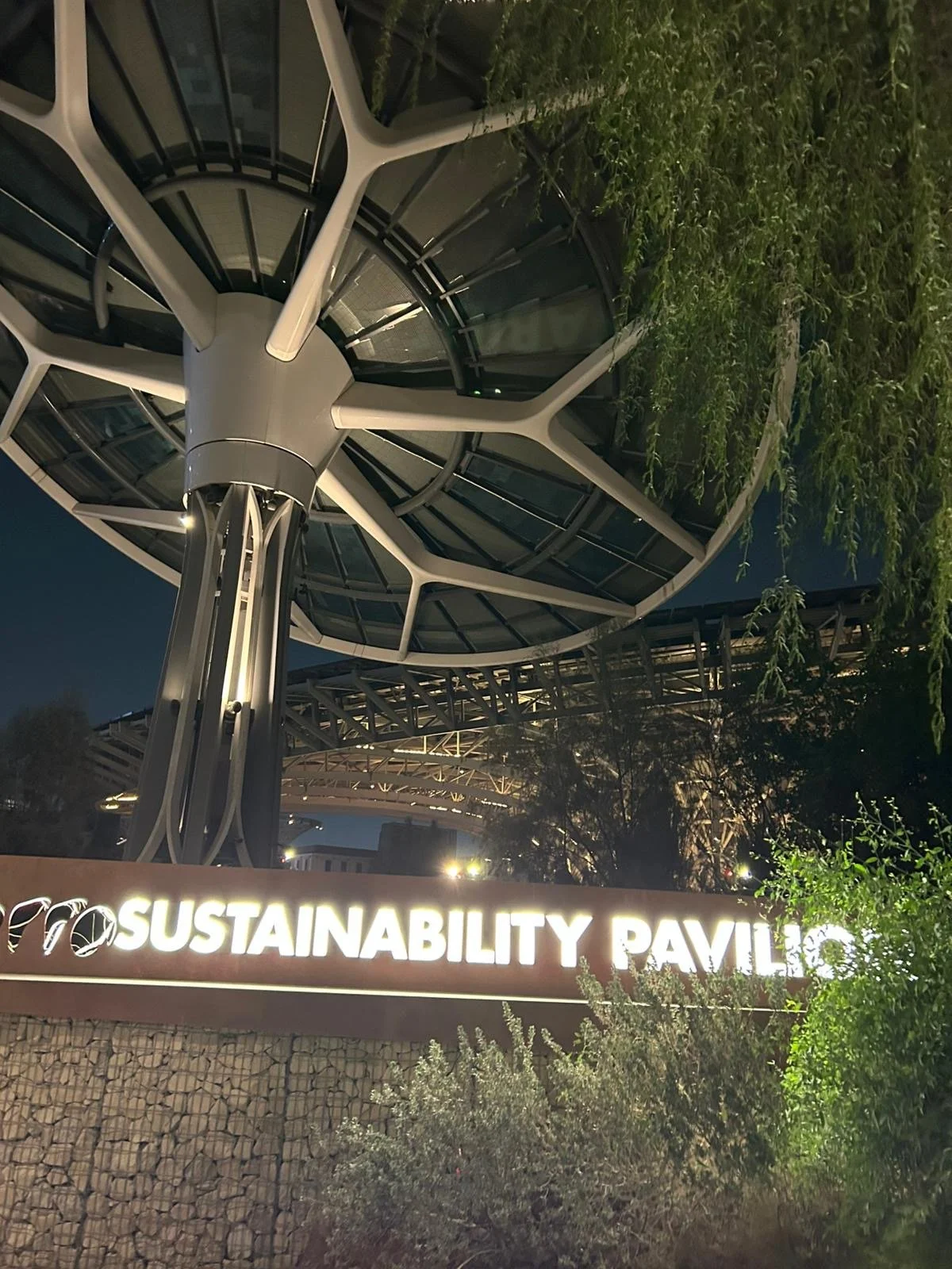 8a505264-c203-408e-8d4b-f663eca1ac60 2.JPG