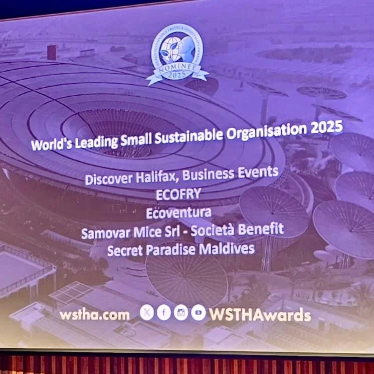 765d8b97-0d61-4e6d-9c01-bd8c2c5114af 2.JPG