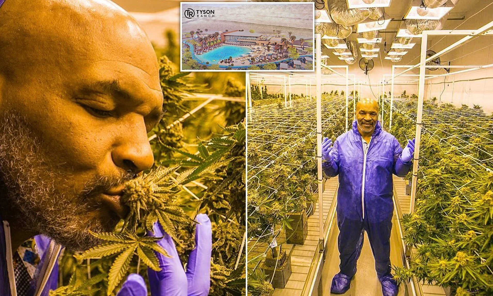 Social Equity: The African-American Influence on Cannabis Culture