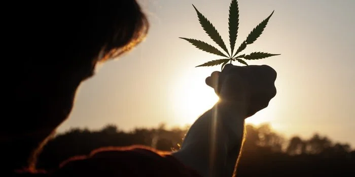 NJ weed bill clears final hurdle before major vote on Thursday