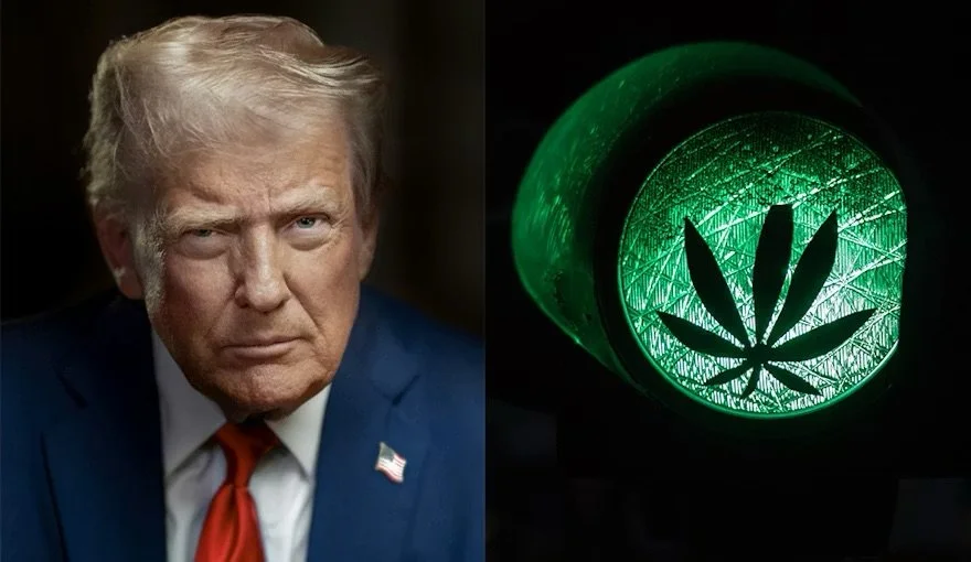 Trump Prepares to Reschedule Cannabis to Schedule III