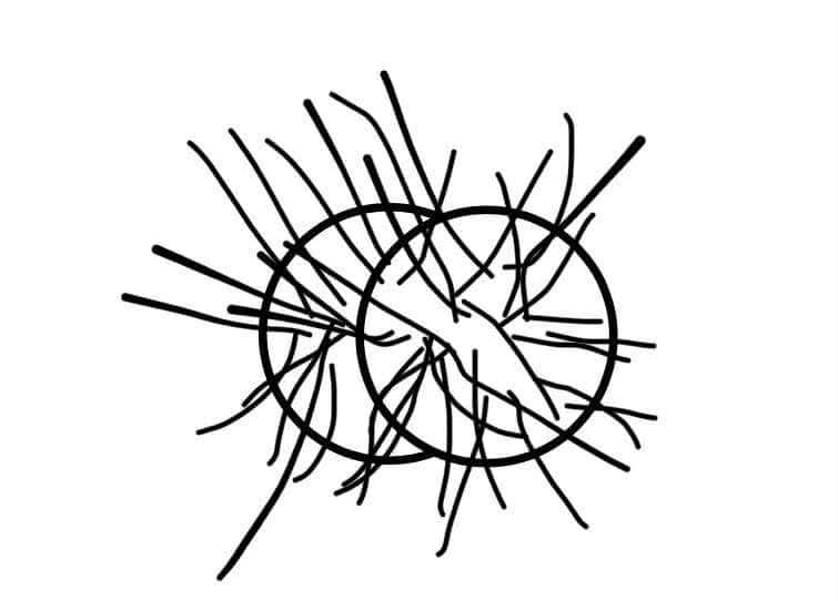 88CCAC11-0B14-4A08-BE0A-0B0C332DA7DC.png