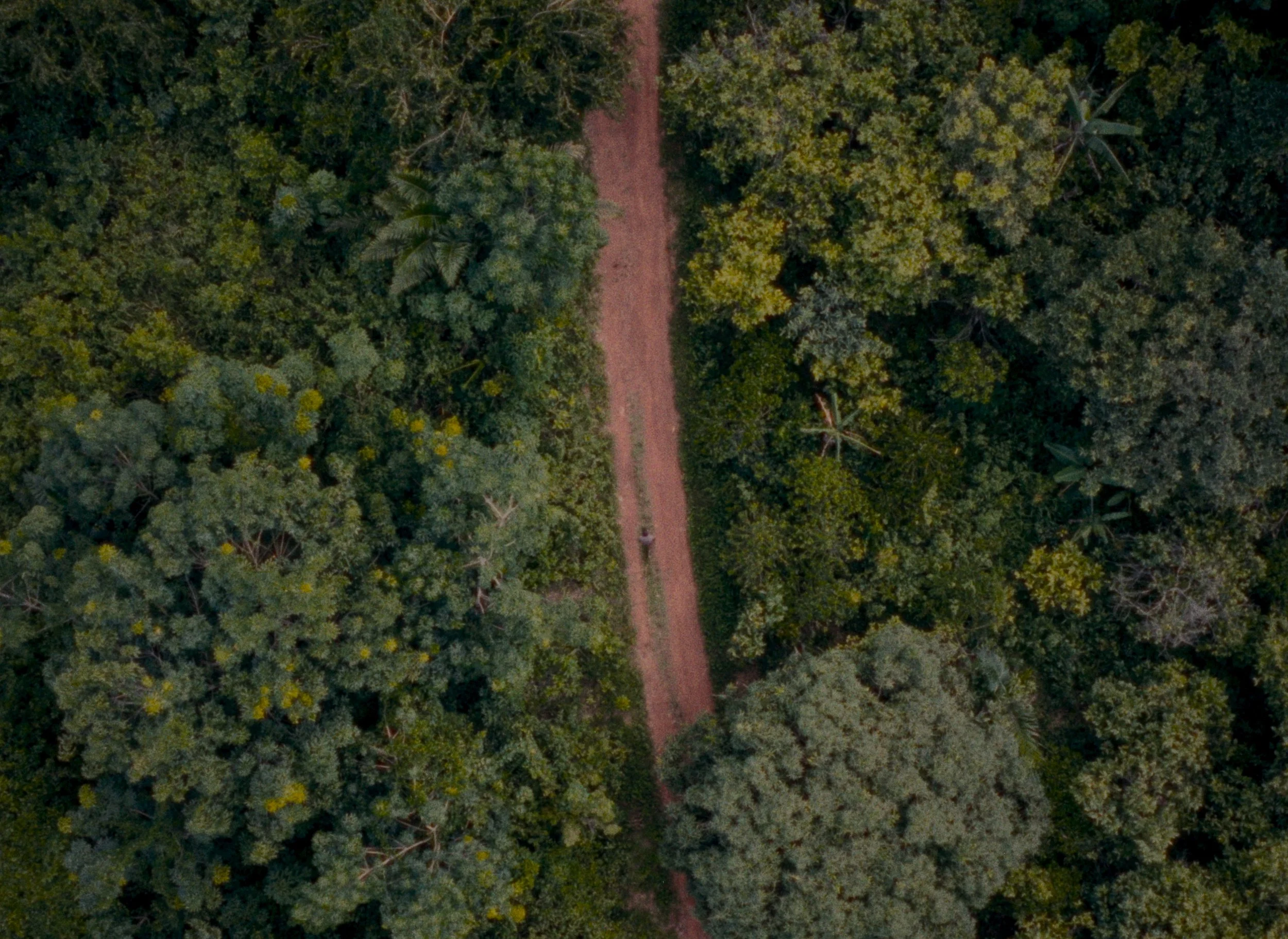 Still 2025-12-15 202344_1.8.1.jpg