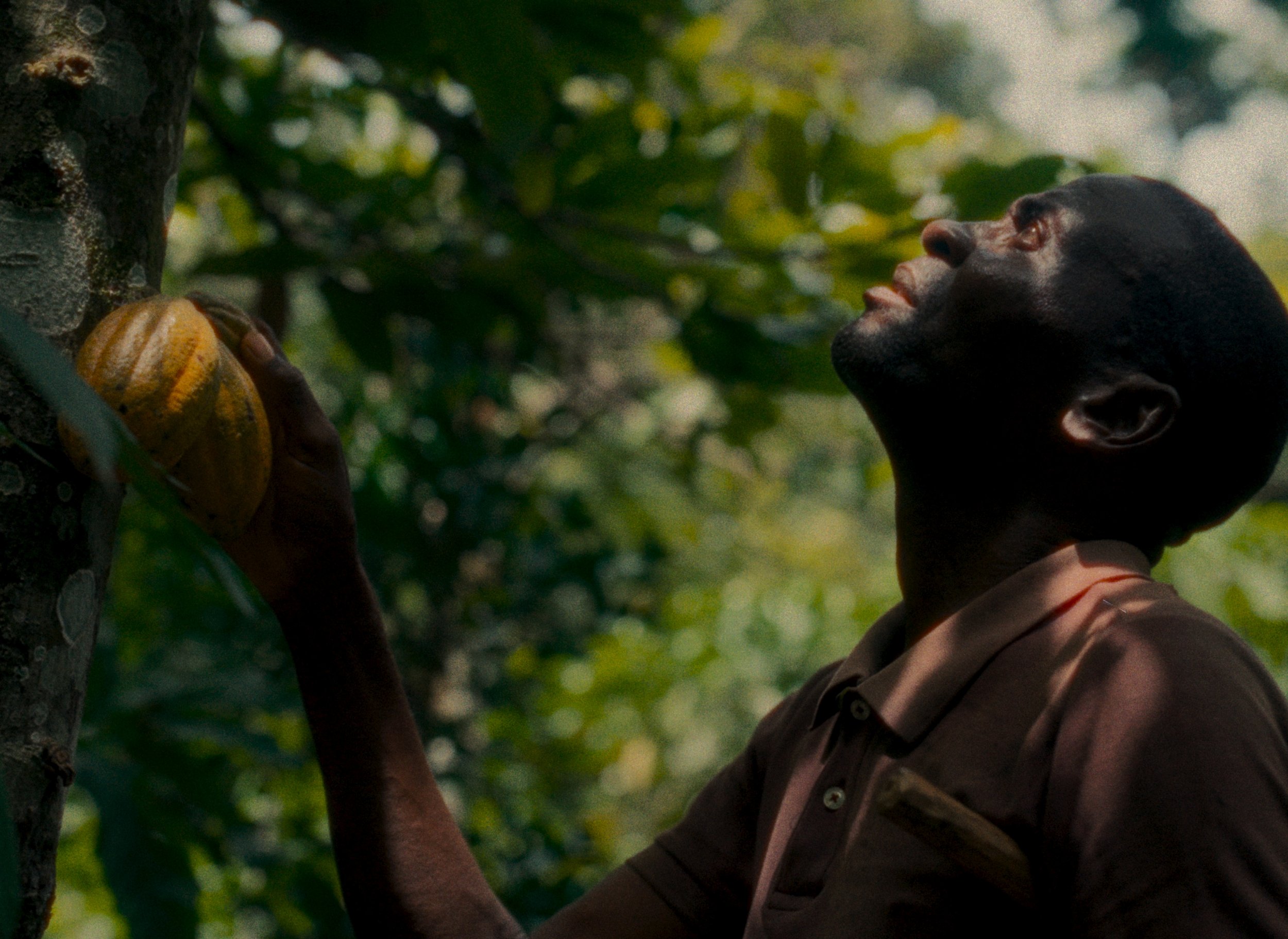 Still 2025-12-15 202344_1.11.1.jpg