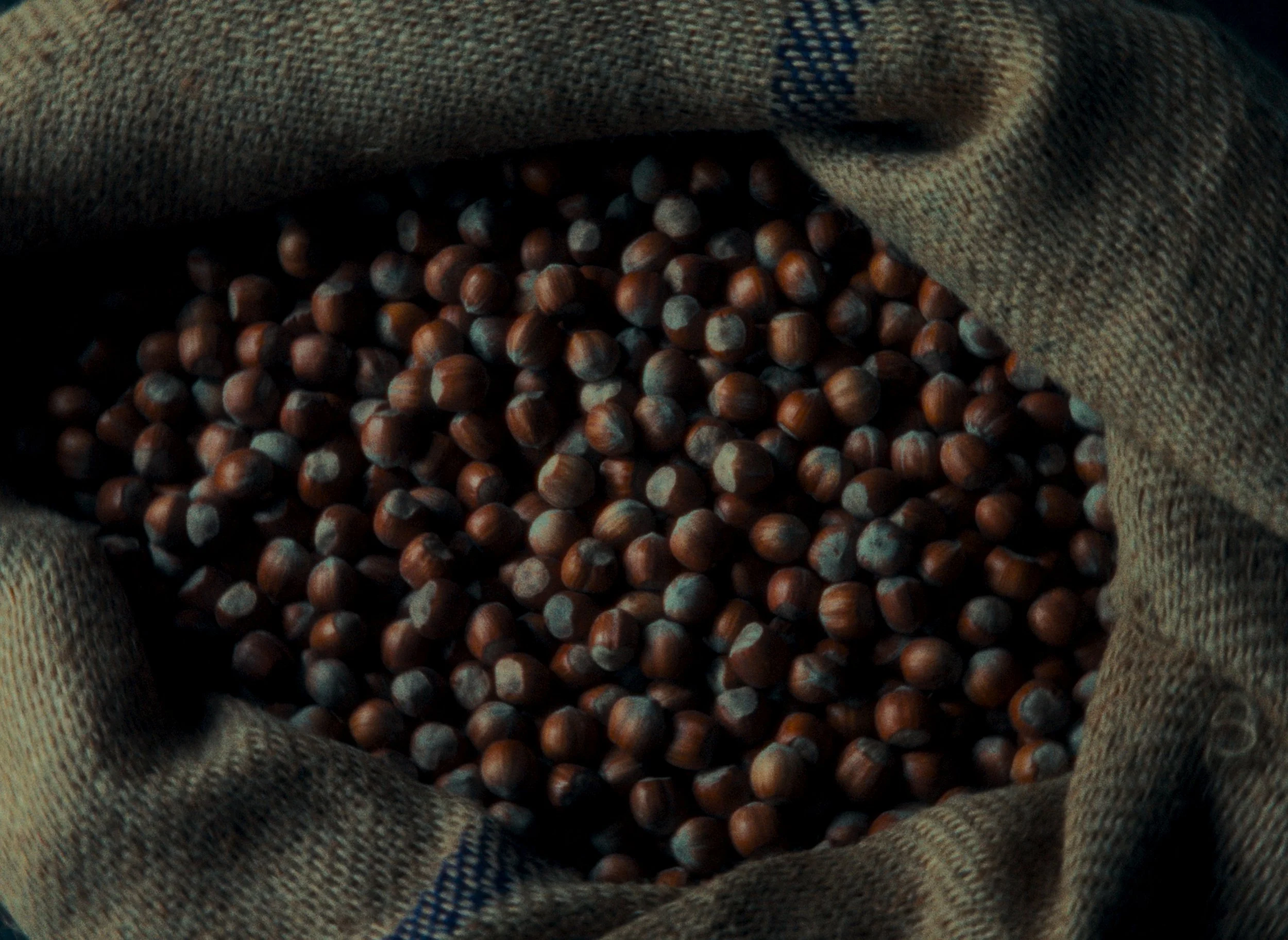 Still 2025-12-15 202344_1.32.1.jpg