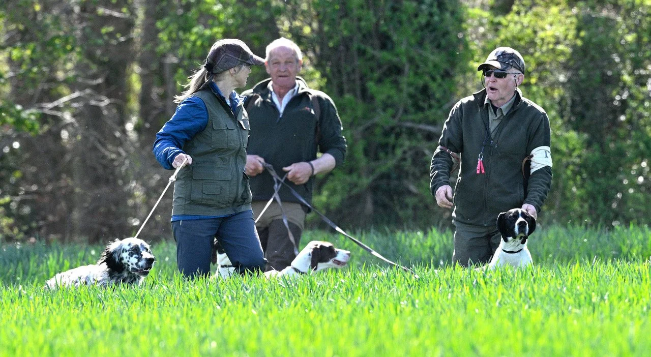 Field Trial Dates — Southern Pointer Club