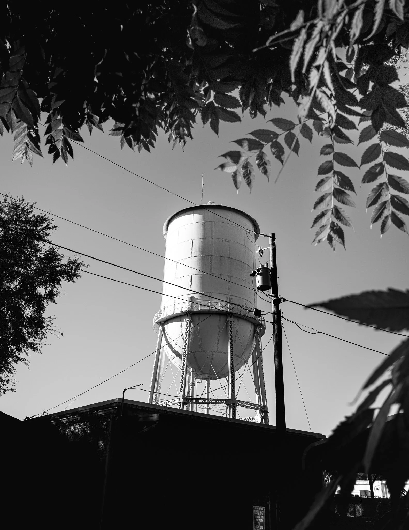 L1020898.jpg