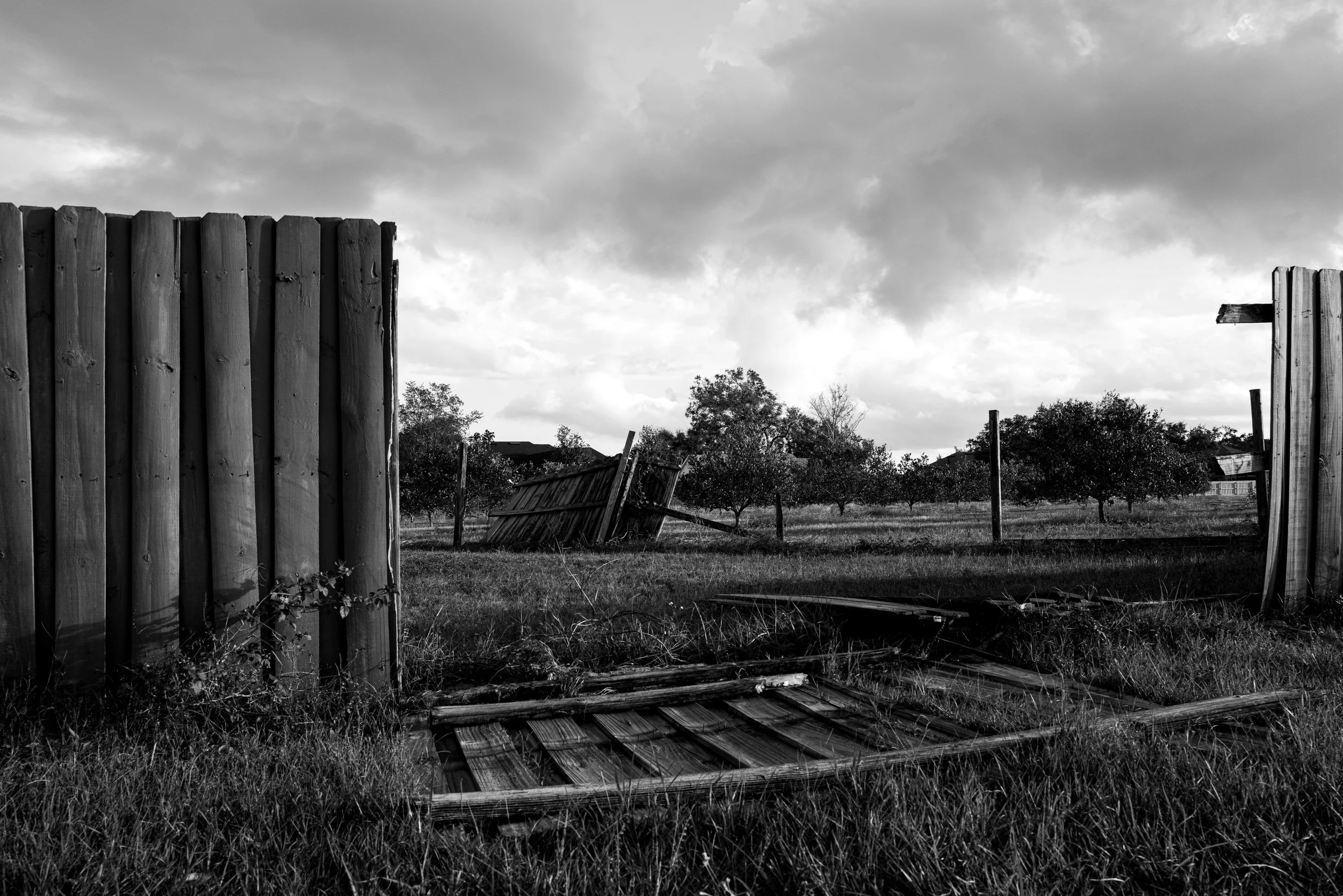 "State Road 46"