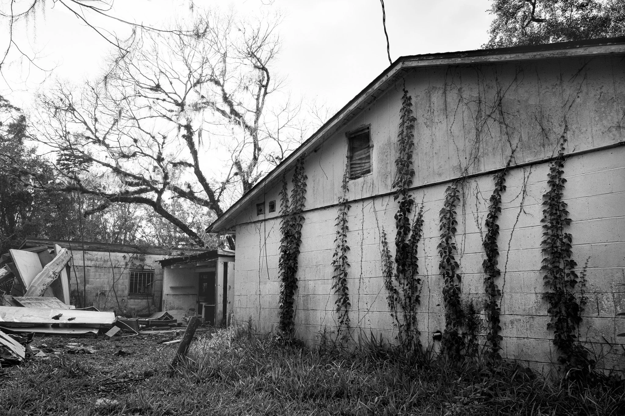 L1021257.jpg