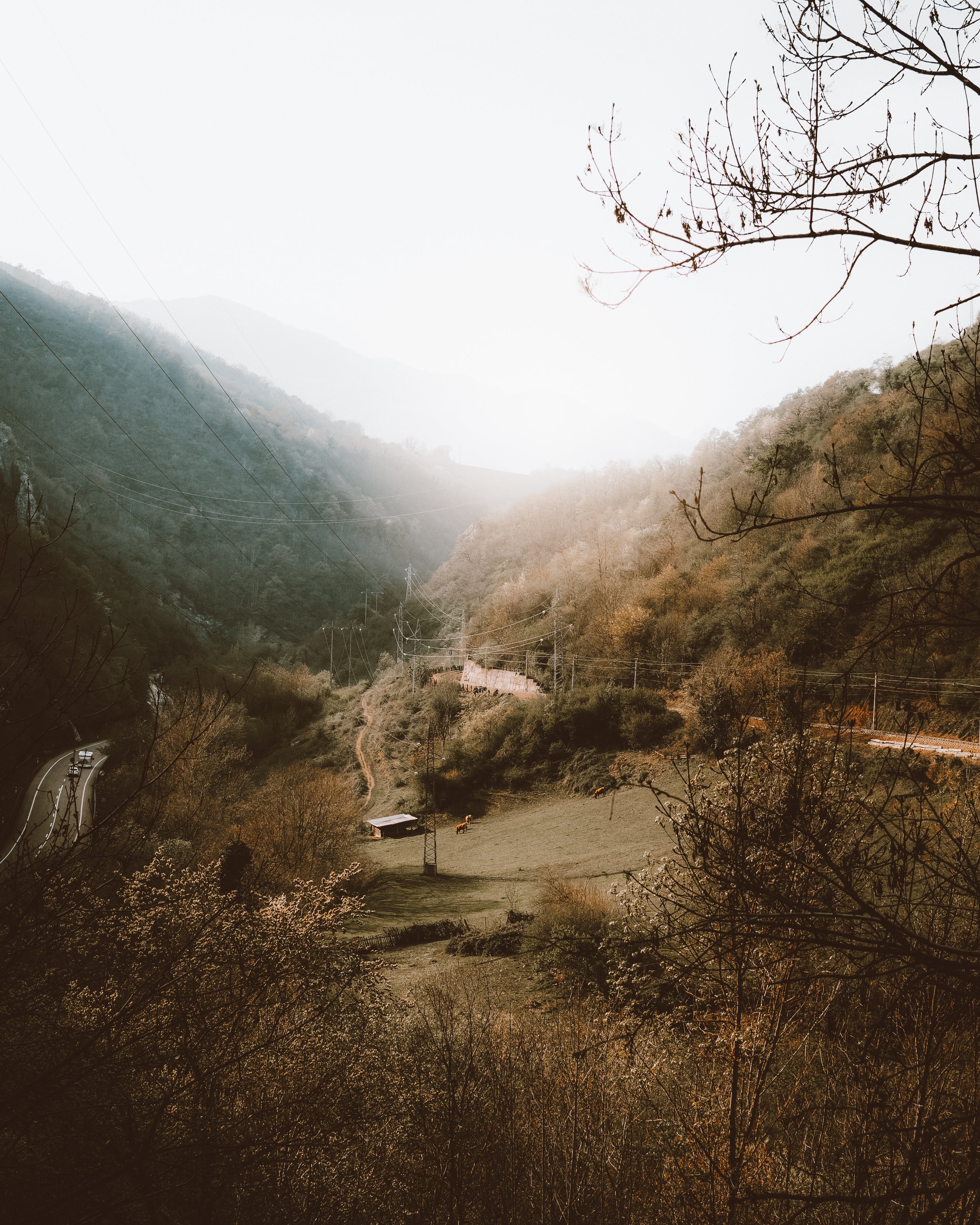 Valle montañoso con árboles otoñales y una pequeña cabaña. Un camino serpentea entre la vegetación, y hay algunos postes de electricidad. Paisaje con tonos cálidos y neblina ligera en el horizonte.