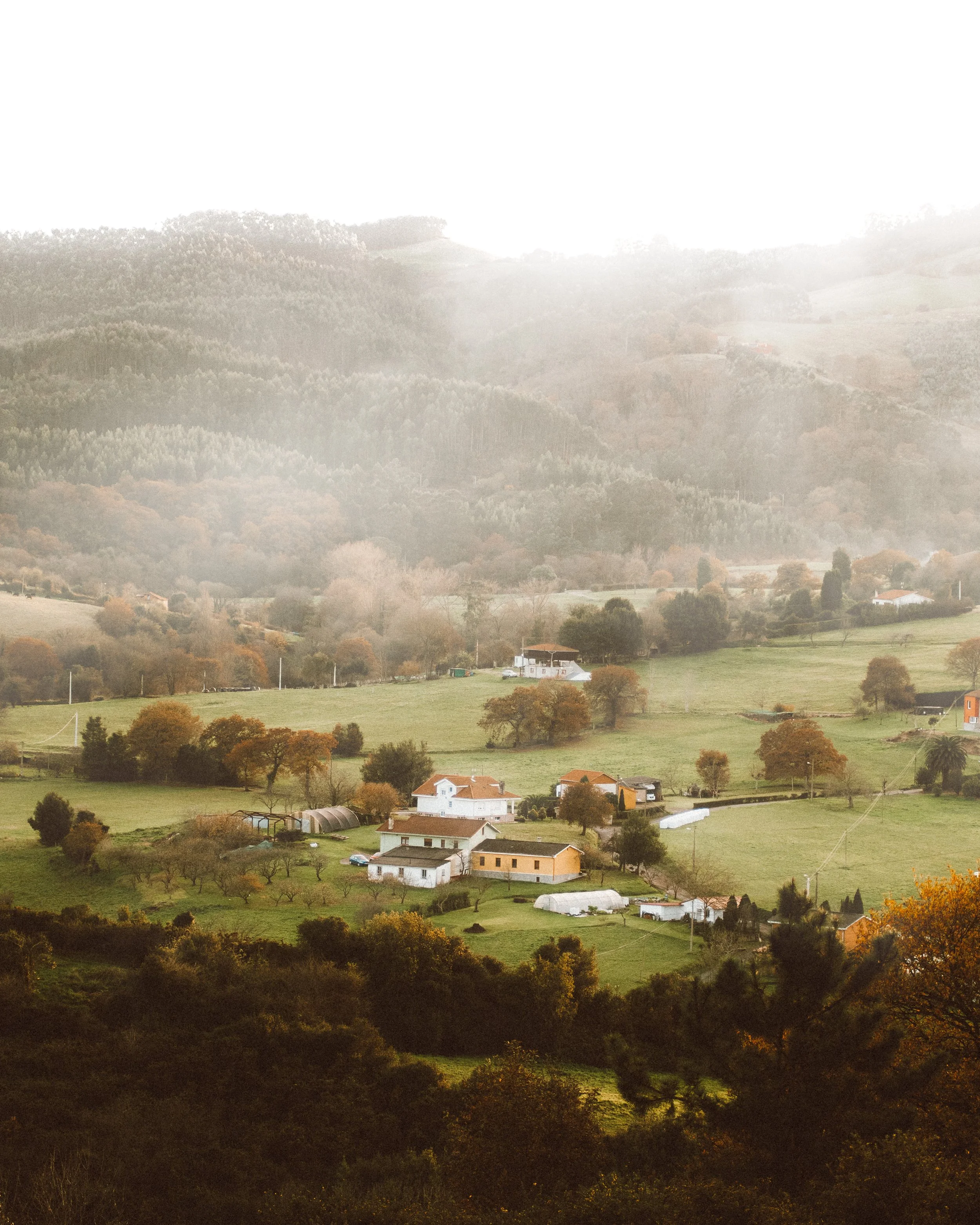 Paisaje rural con casas, árboles y colinas cubiertas de niebla.