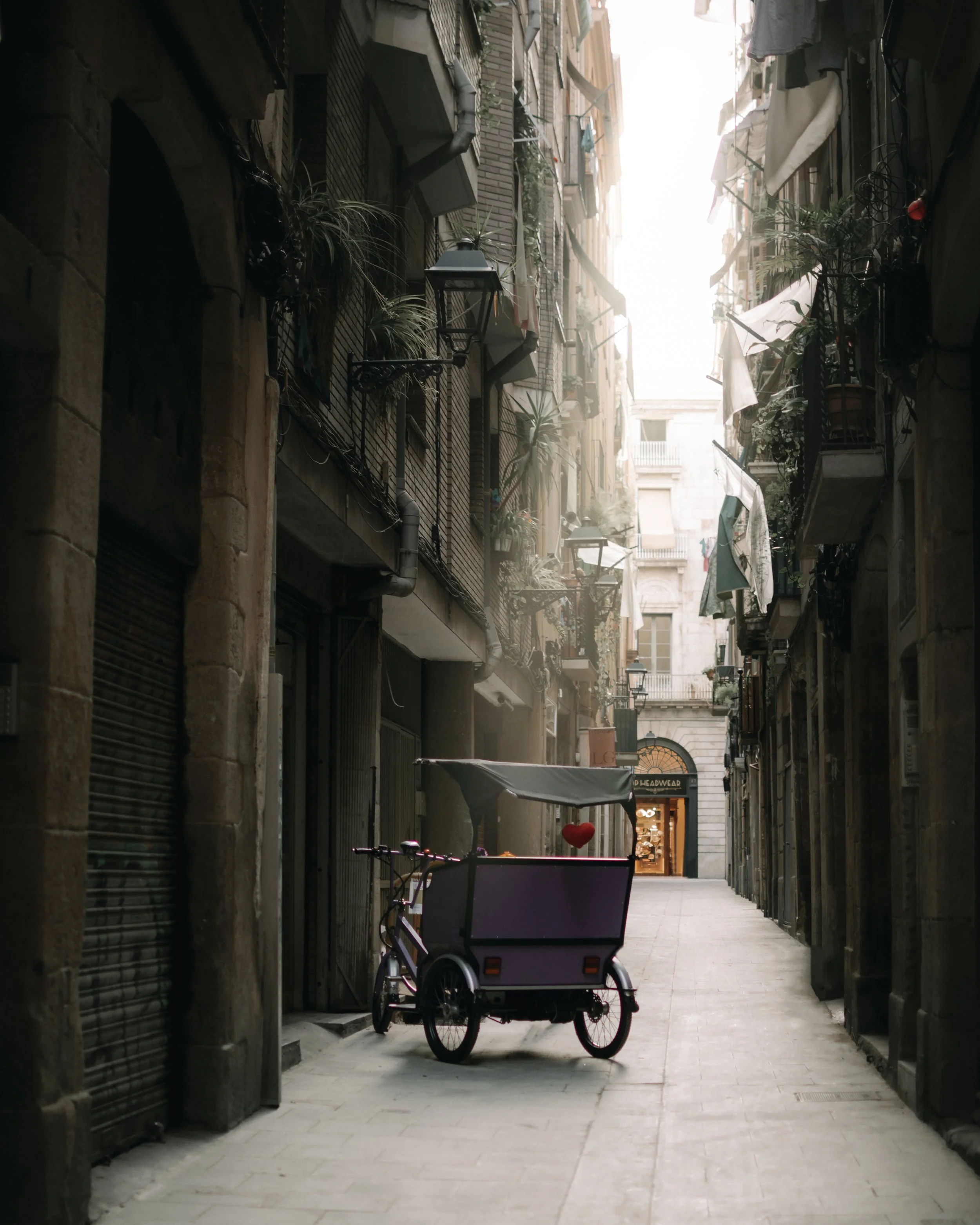 Callejón estrecho con biciclo púrpura estacionado y edificios antiguos con plantas en los balcones.