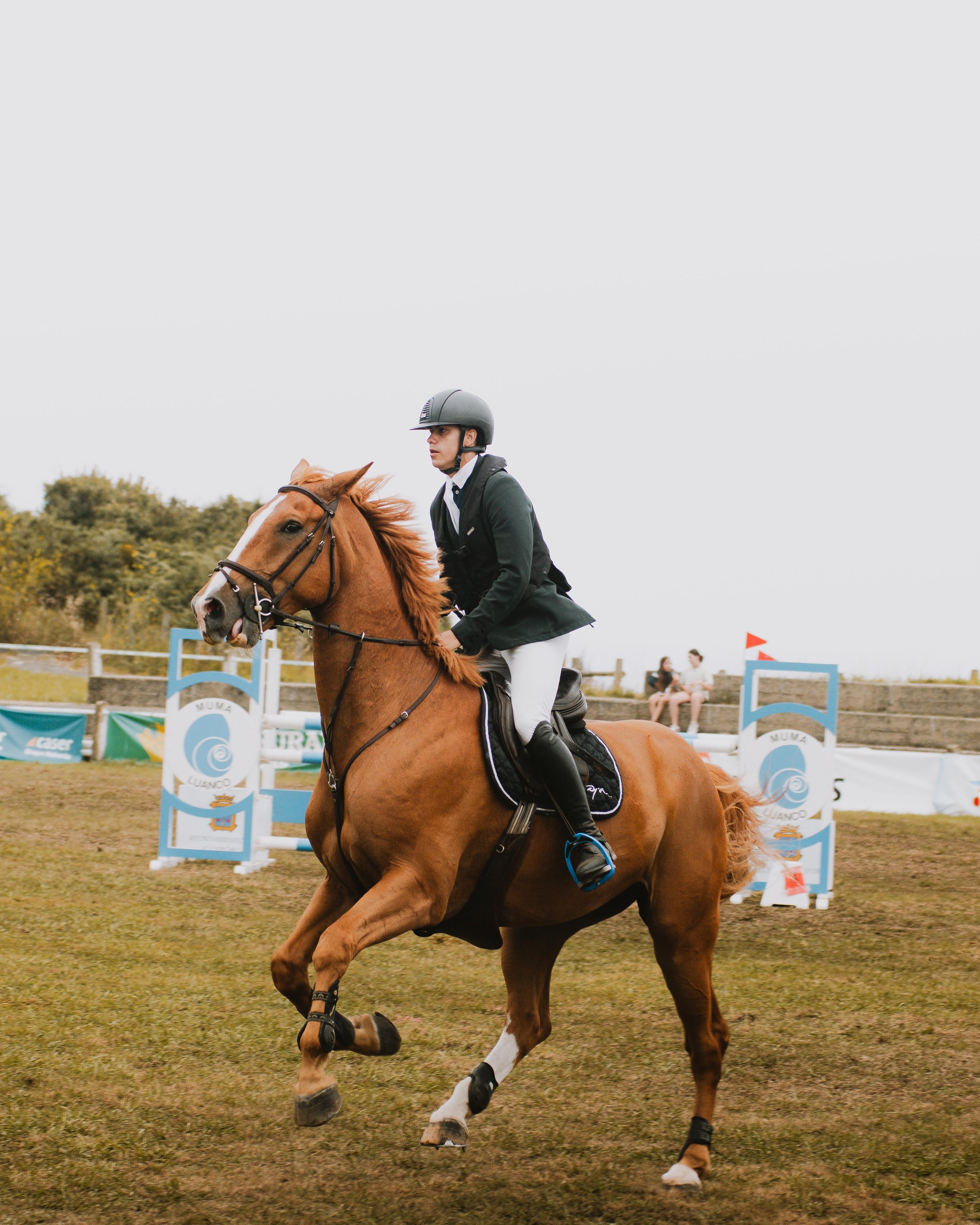 Jinete compitiendo en un hipódromo, montando un caballo marrón, con obstáculos de salto en el fondo.