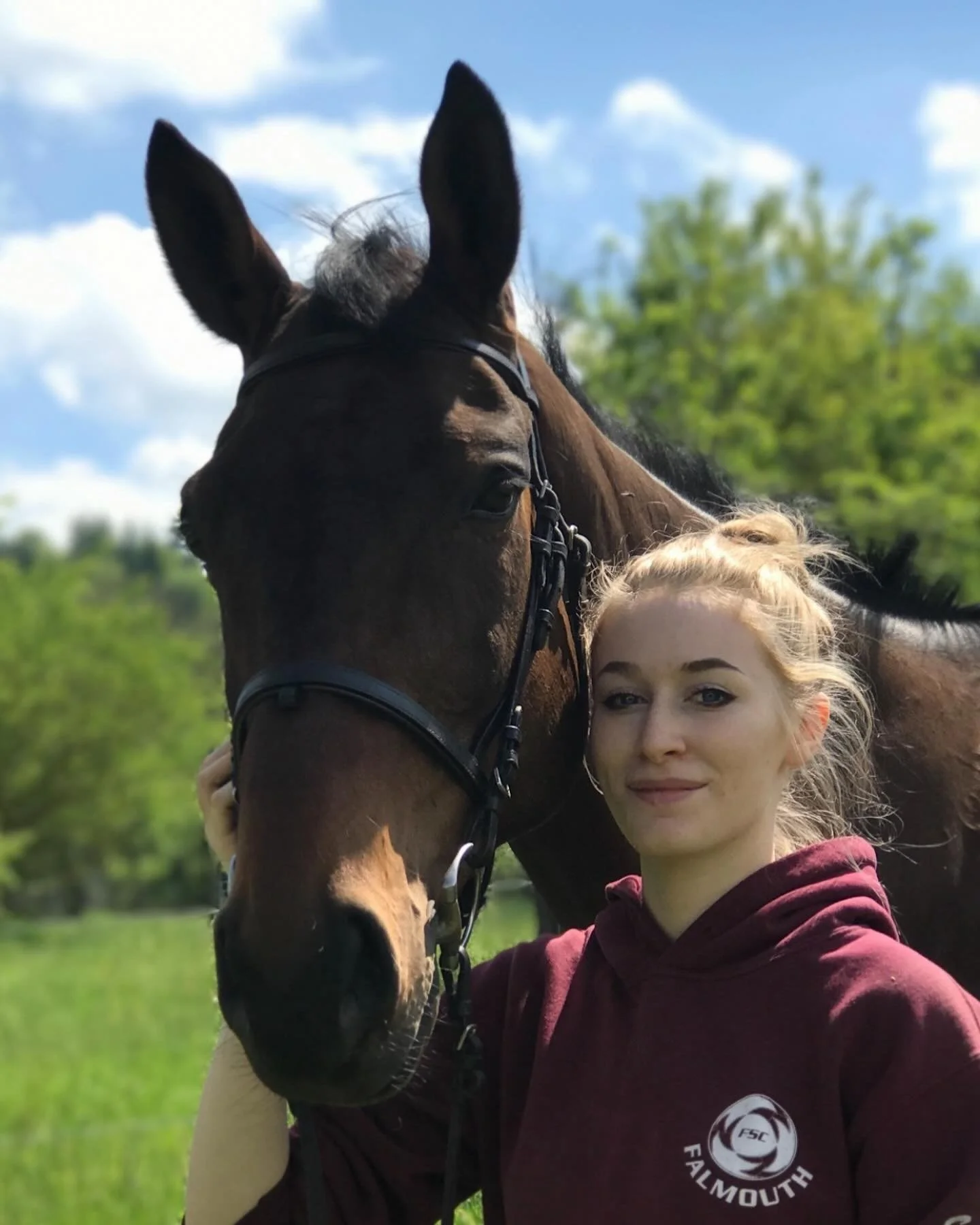 Here is the of the face of the animal I&rsquo;ve practiced drawing with the most - Koa! He was a huge beautiful and challenging sweetheart while he was with me. Every drawing of him has been a memorial, since his passing, so whilst it can sometimes b