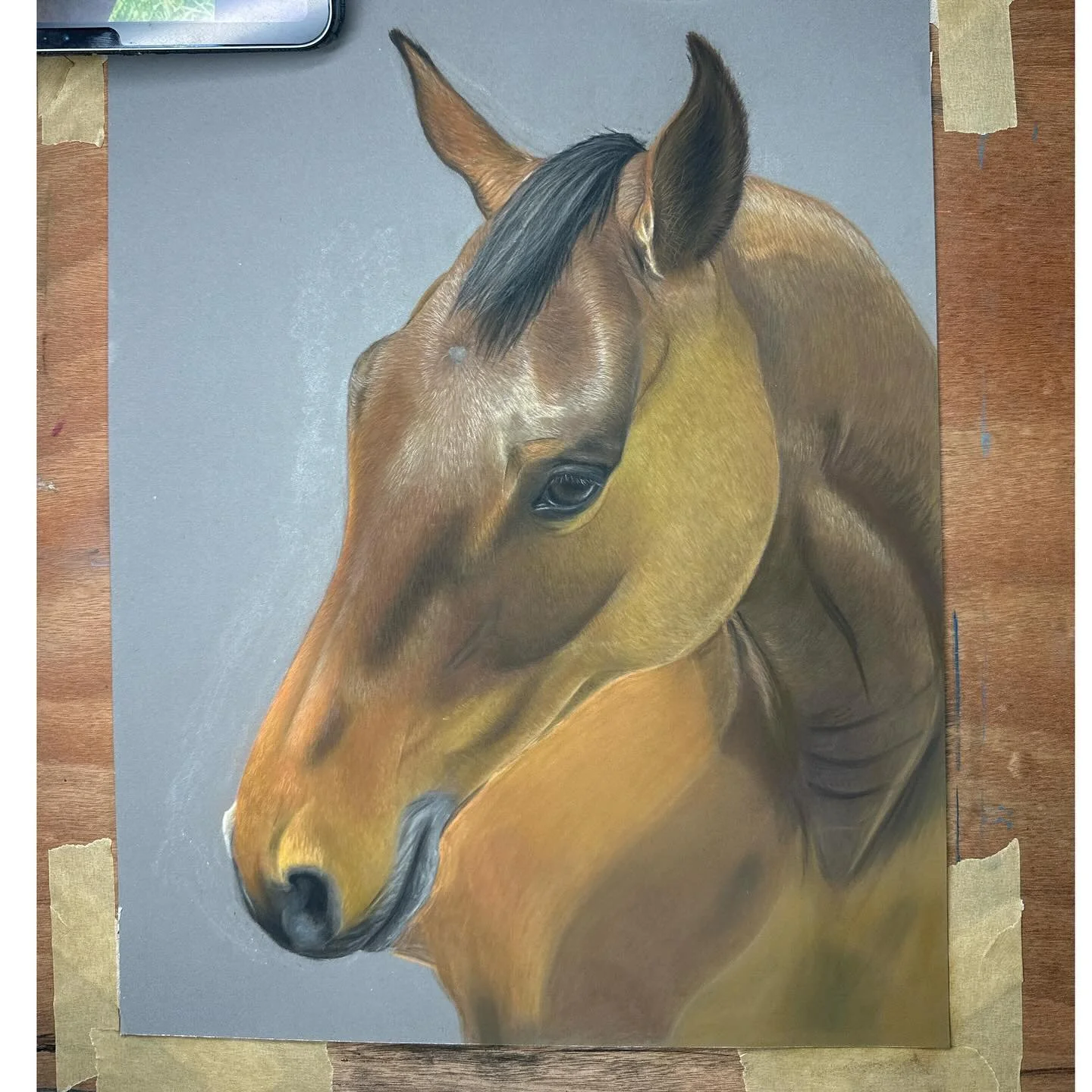Sharing a sneak peek into my studio and who&rsquo;s currently on my easel as I embark on a personal project&mdash;capturing the essence of Koa, my four-legged companion, in a pastel tribute. These early strokes hold a trove of memories, from trail ri