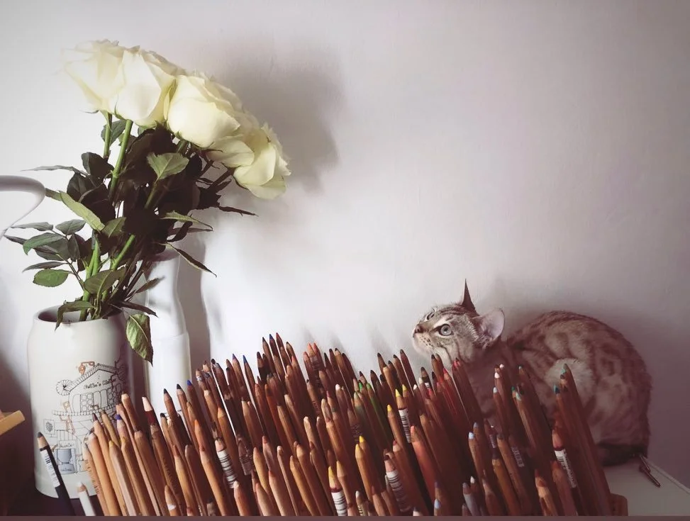 Organized my pastel pencils with a homemade wooden stand &ndash; a simple DIY project that adds a touch of charm to my art space. 🎨✨ Loving the practicality and rustic feel. Sharing the joy of a tidy setup! #PastelArtists #FabercastellPastels #Rembr