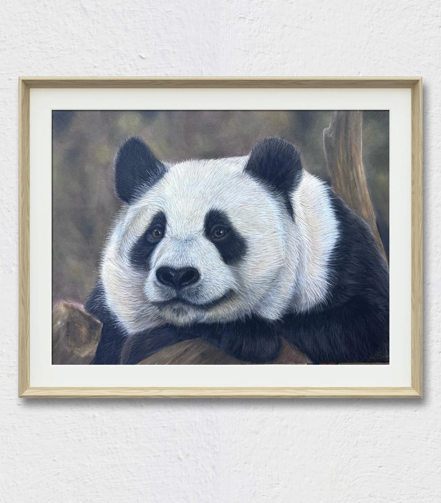 Excited to share this recent drawing that holds a lot of sentimental value for me &ndash; a content panda, casually lying down with crossed arms, brought to life with pastel pencils. 🐼💖 This piece was a heartfelt present, and I wanted to make it as