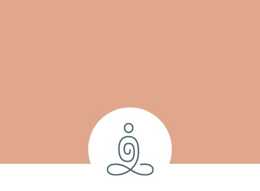 Nervous System Regulation Icon