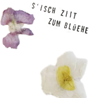 s'isch ziit zum blüehe