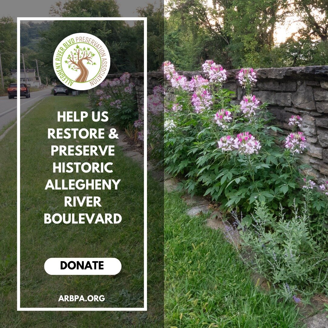 Donate locally this #givingtuesday by supporting ARBPA! We are halfway to our goal of raising $20K in matching funds for our Preservation Management Plan! Help us reach the finish line and keep ARB beautiful. Go to --&gt; arbpa.org/donate 
#historicp