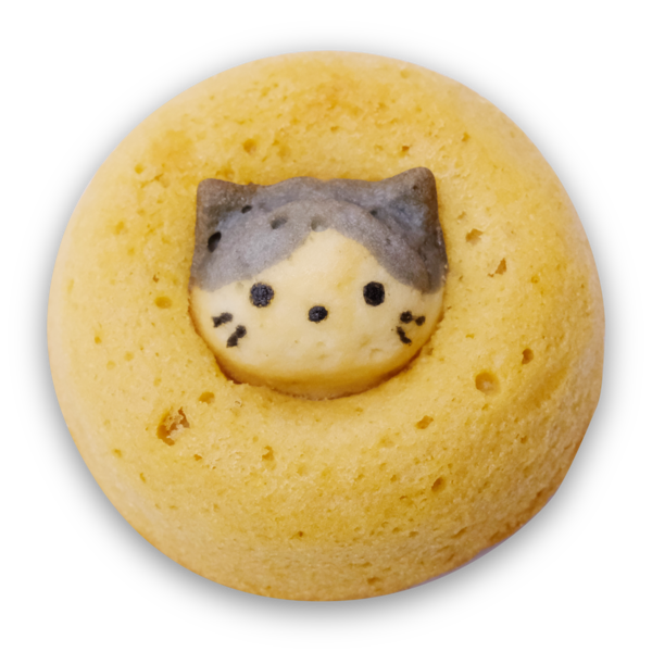 IMG_0831.png