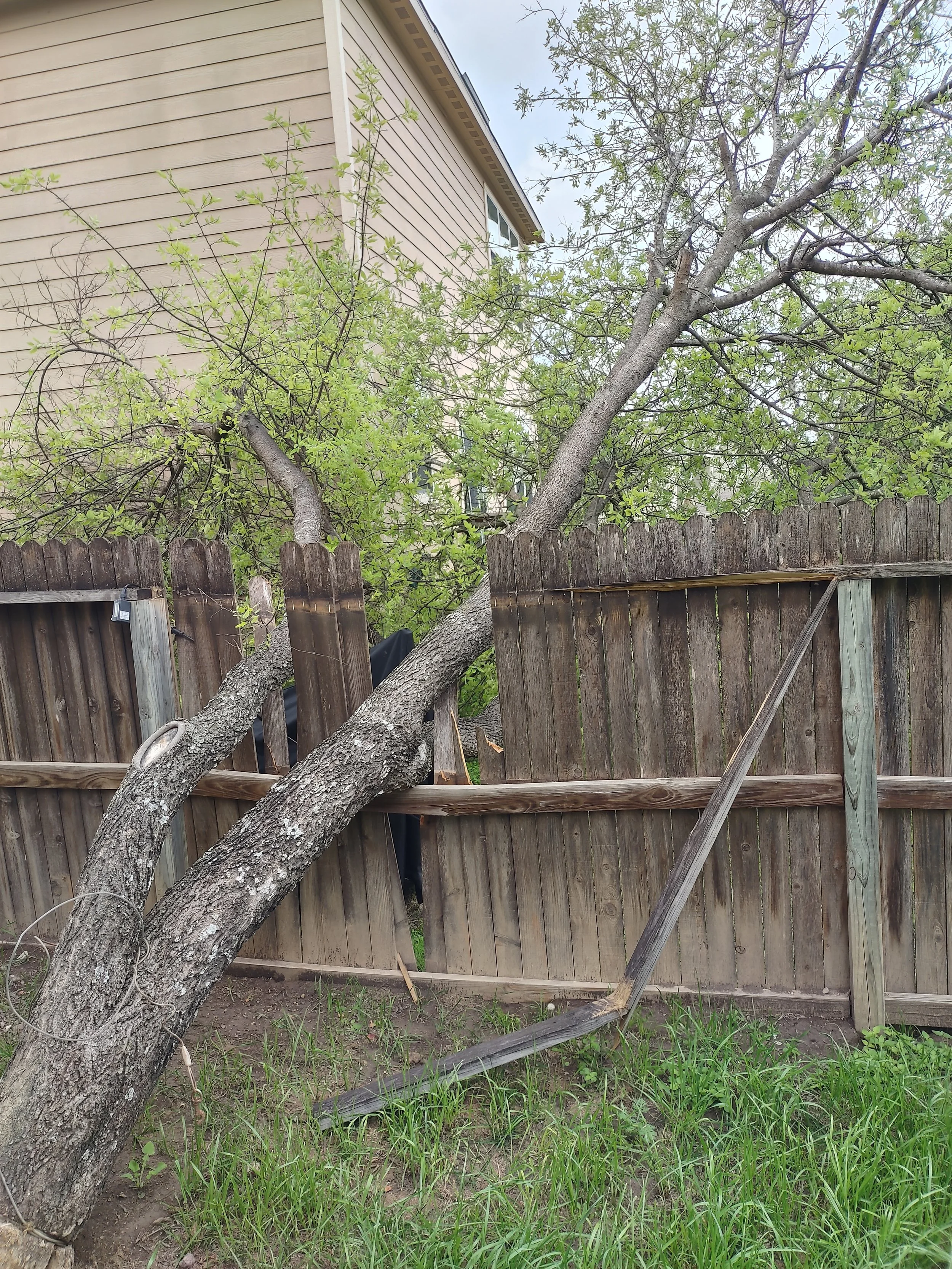 20230426_122155_HDR.jpg