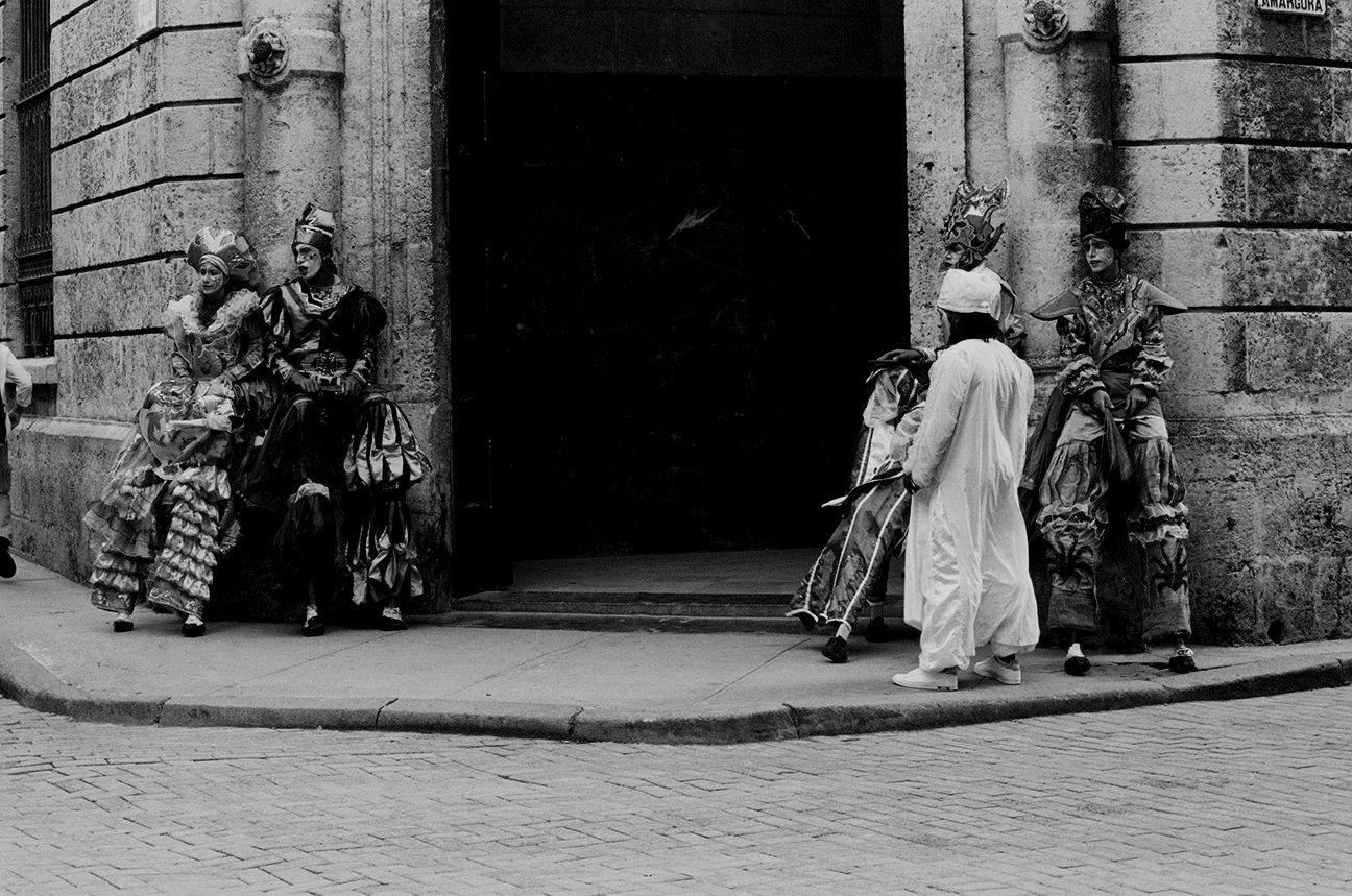 La pause des échassiers