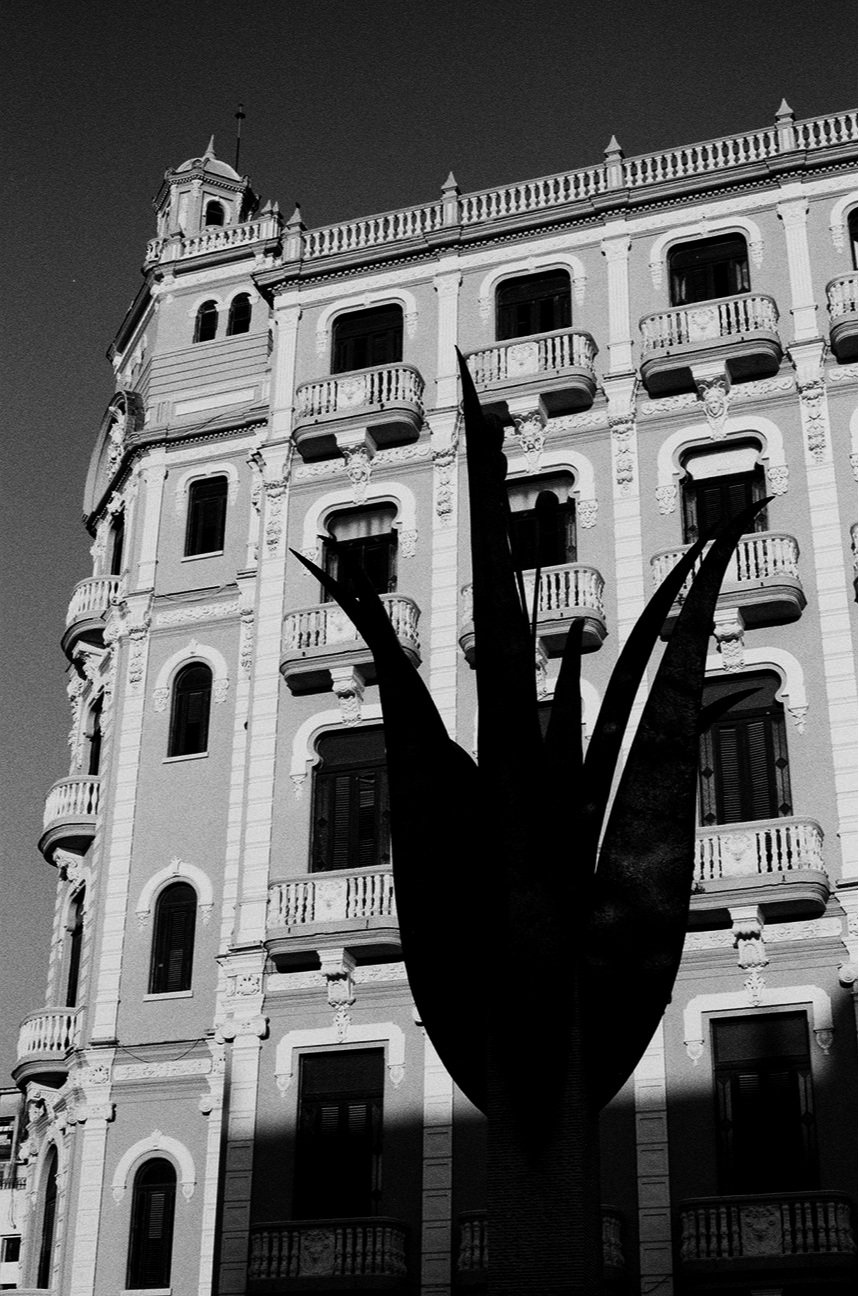 18+-+Plaza+vieja+-+statue+fleur+-+9430-02.jpg