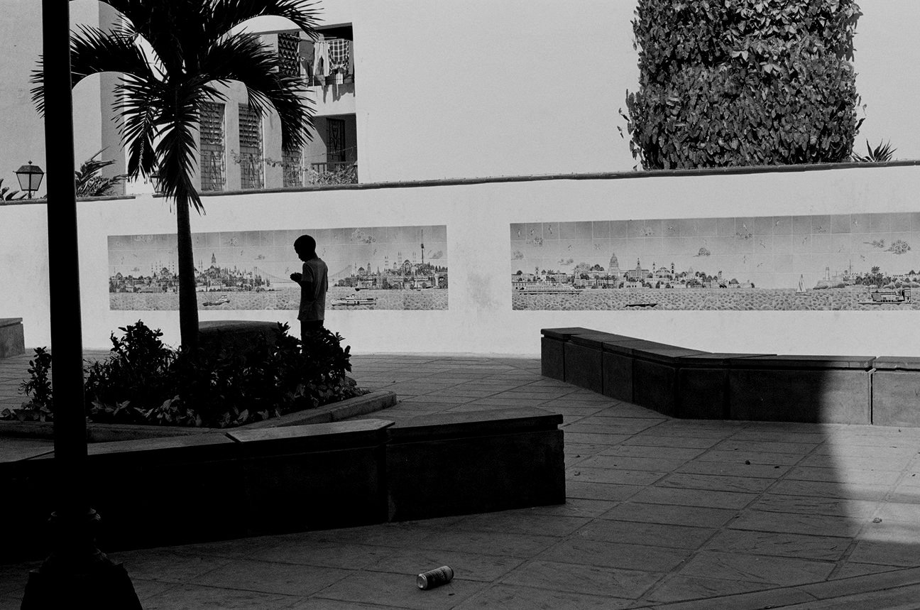46+-+Parc+-+vieja+-+r%C3%A9no+-+9435-08.jpg