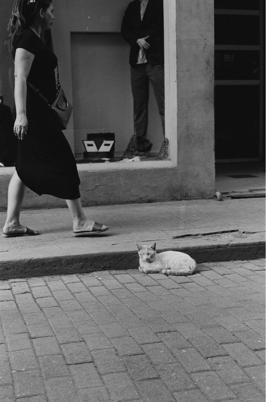83+-+Chat+rue+-+femme+trottoir+-+9443-04.jpg