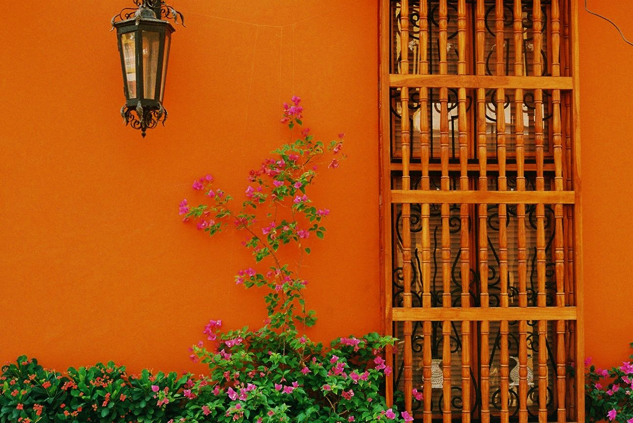 12+-+Fleurs+-+Mur+-+Lampadaire+-+000027.jpg