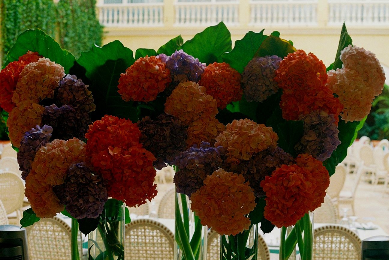 30+-+Fleurs+Hotel+-+000008.jpg