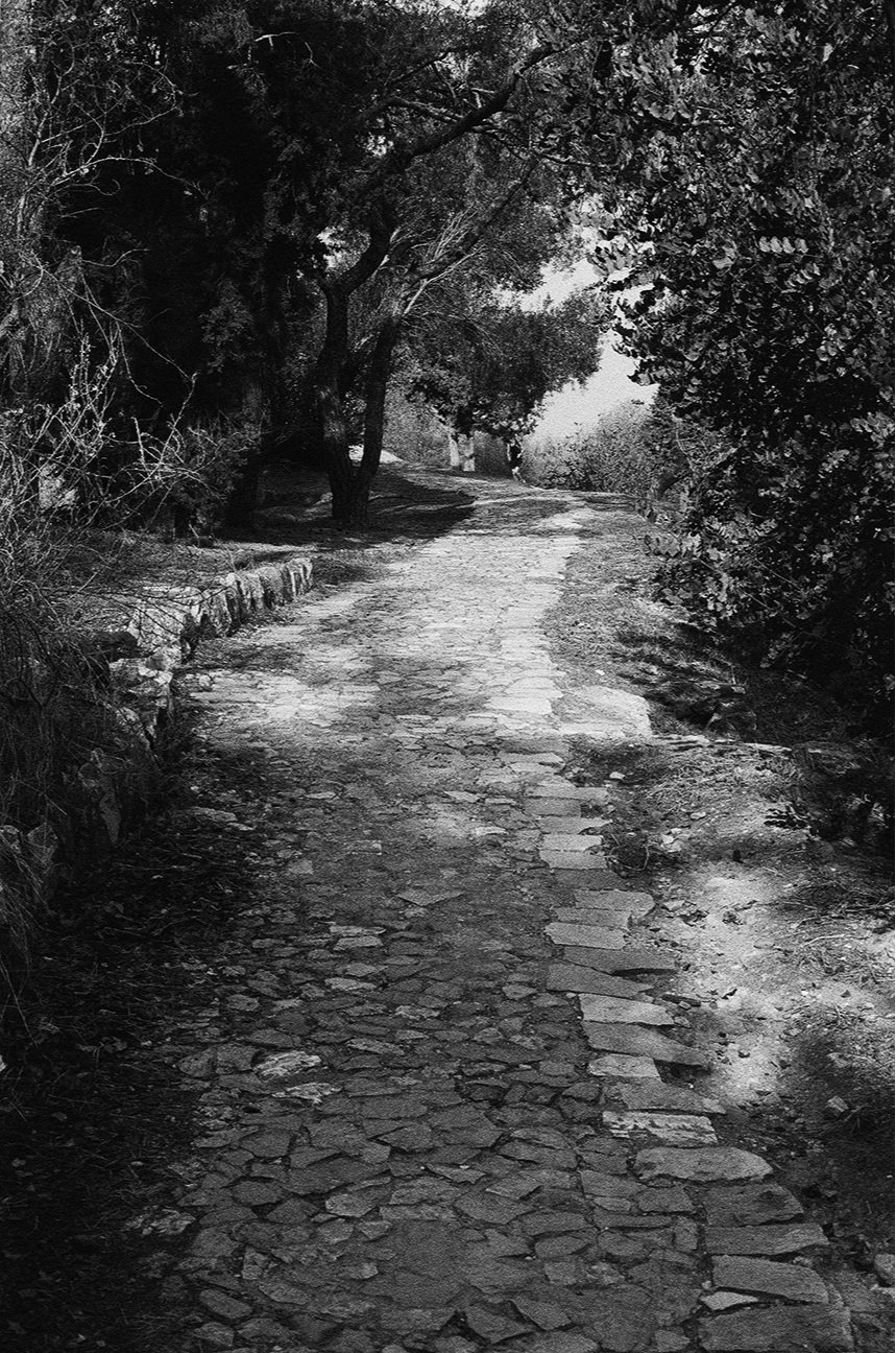 5+-+Ancien+chemin+-+4132-19.jpg
