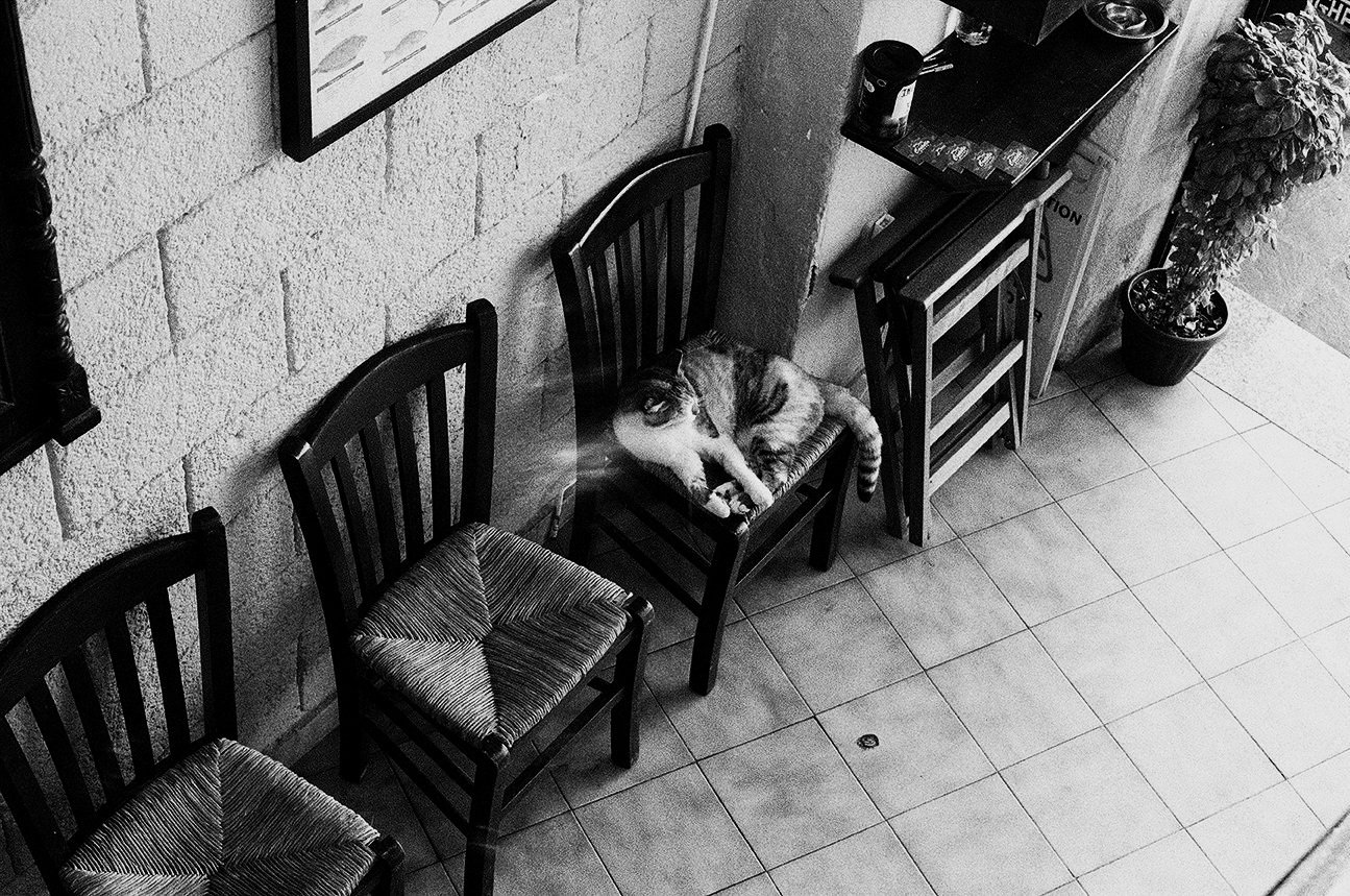 24+-+Chat+-+Resto+-+4134-02.jpg