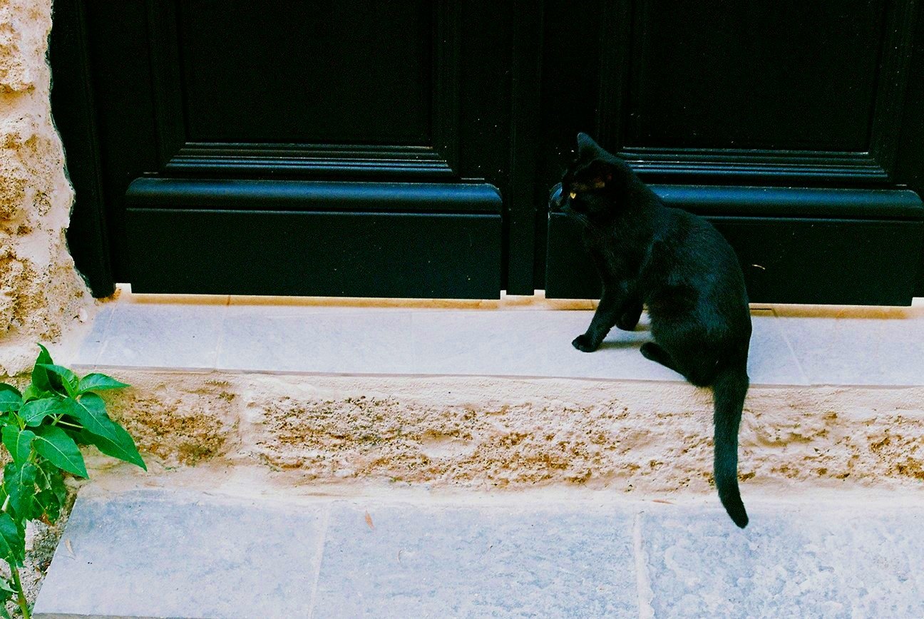 10+-+Porte+%26+Chat+Noir+-+000021.jpg