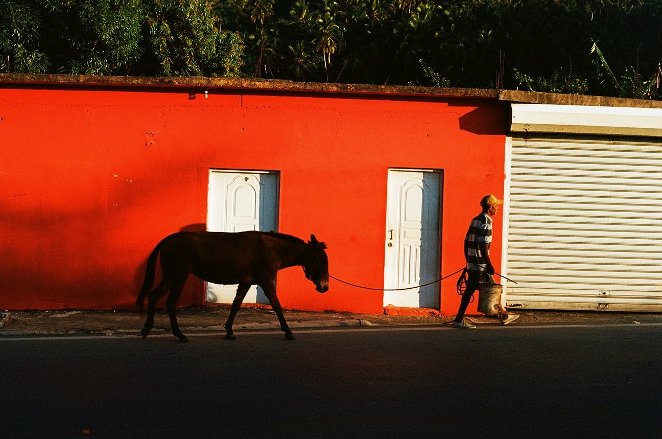 24+-+Cheval+-+Orange+-+3668-15.jpg