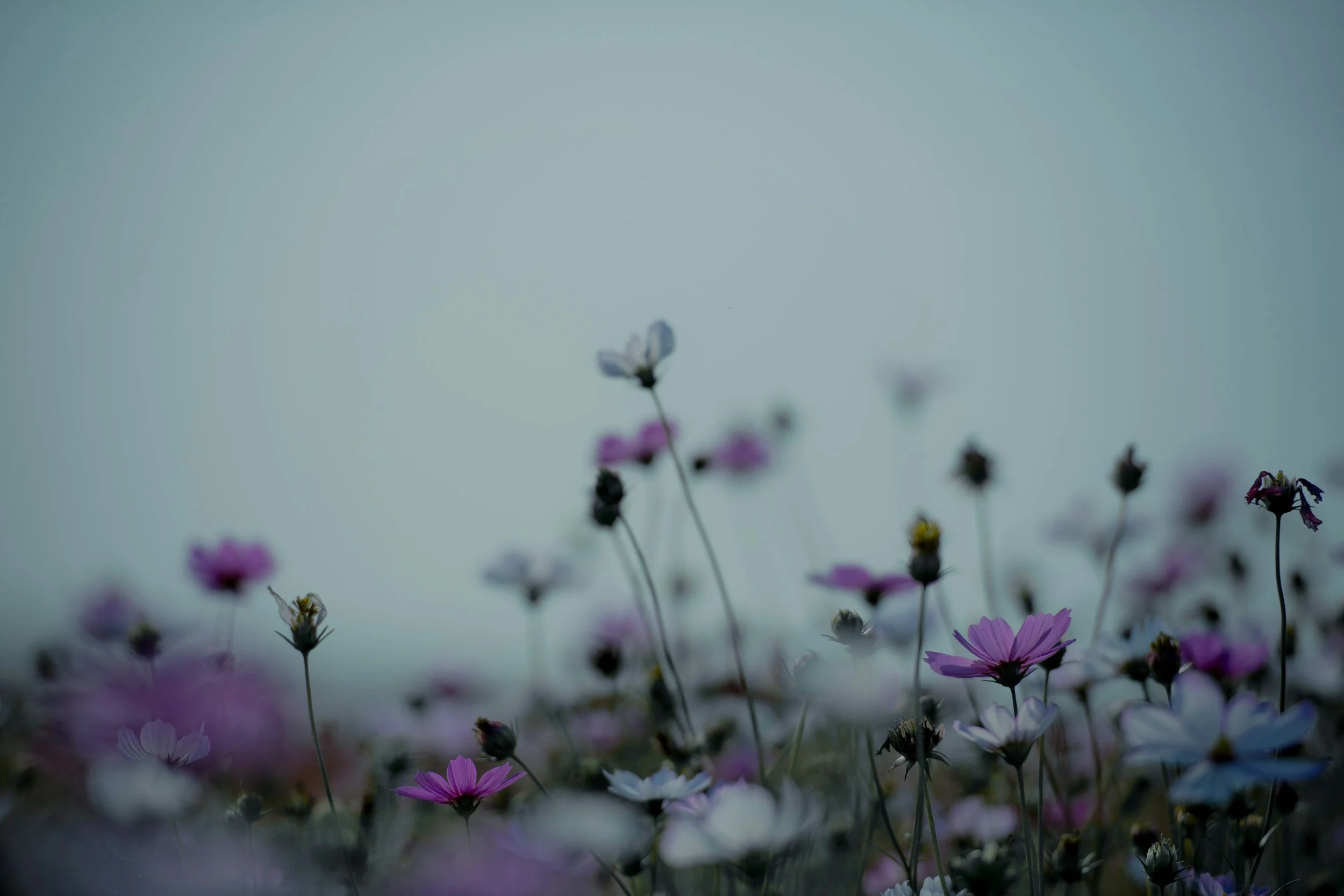 How to Prepare for a Therapy Intensive