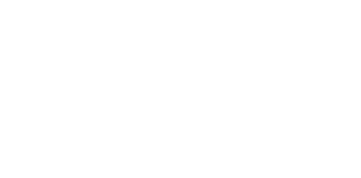 EMG Tint &amp; Decal